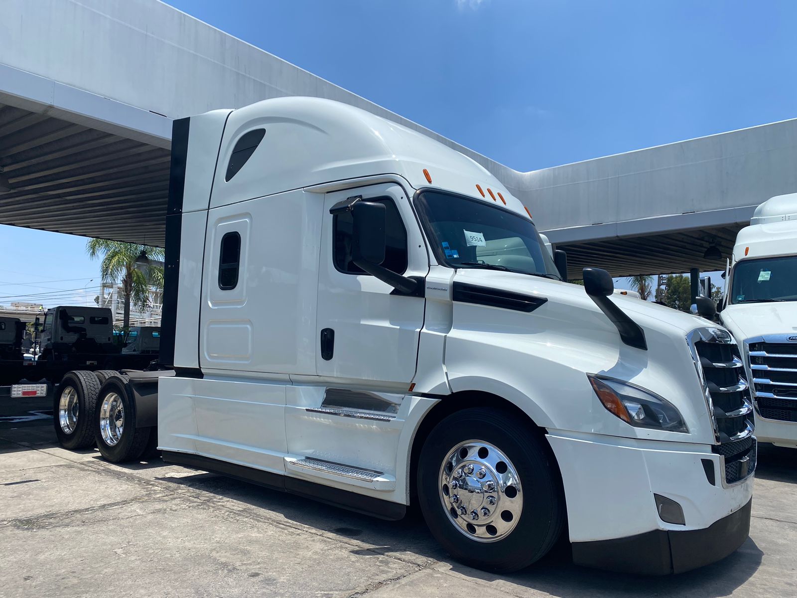 Freightliner de referencia – Go On